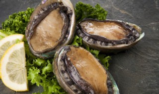 如何鲍鱼清洗干净 如何鲍鱼清洗干净视频