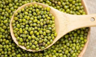 为什么减肥不能吃绿豆 绿豆汤排毒太厉害了吧