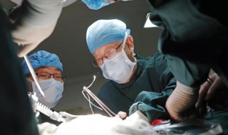 吴孟超事迹简介 吴孟超事迹简介PPT