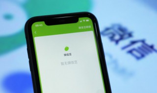 微信借钱怎么借（微信借钱怎么借没有哪个功能）