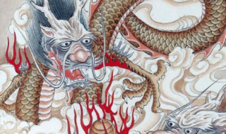 属龙住几层楼最好吉利（属虎住几层楼最好吉利）