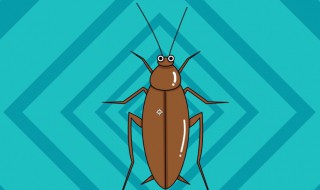 把蟑螂踩死会不会有更多蟑螂（为什么把蟑螂踩死会更多）