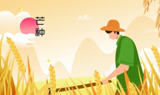 芒种做什么农活（芒种做什么农活最好）