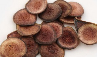 鹿茸的最佳保存方法 鹿茸的最佳保存方法是什么