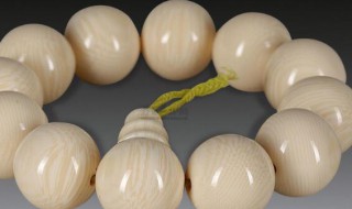 什么属相不能佩戴象牙（猛犸牙现在的市场价格）