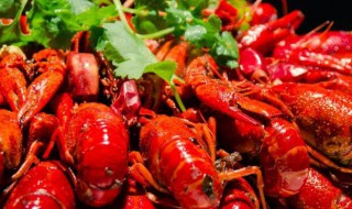小龙虾的头到底能不能吃 小龙虾的头到底能不能吃掉