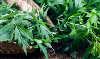 什么人不能用艾草枕头（什么人不能用艾草枕头睡觉）