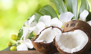 什么人不能喝椰子粉 什么人不可以喝椰子汁