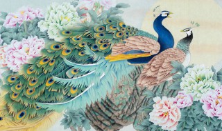 孔雀图什么人不能挂 孔雀图什么人不能挂挂画的禁忌有哪些
