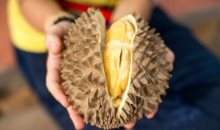 怎样挑选榴莲又香又甜 怎样挑选榴莲又香又甜的窍门
