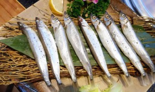 如何清洗多春鱼（如何清洗多春鱼的内脏）