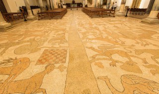 地毯茶渍如何清洗 地毯茶渍的清除方法