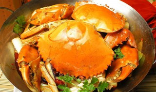 面包蟹如何清洗（面包蟹如何清洗干净）