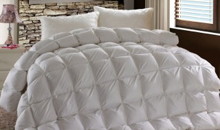 鹅绒被如何清洗（鹅绒被如何清洗杀菌）