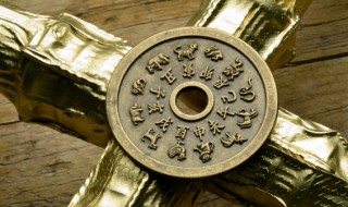 哪些生肖人不能买龙龟 龙龟适合什么属相人