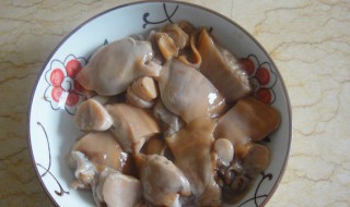 河蚌肉哪些不能吃（河蚌肉怎么做好吃易烂）