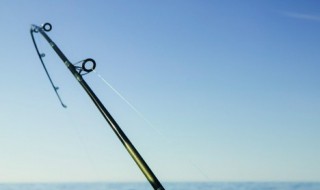 鱼竿调性是什么意思 汉鼎鱼竿调性是什么意思