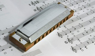 狂人日记歌词 狂人日记歌词是什么意思