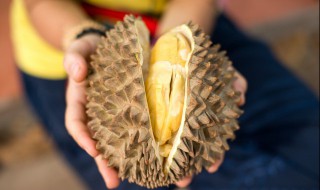 高血糖能吃榴莲吗（高血压高血脂高血糖能吃榴莲吗）