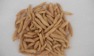 麦冬孕妇能吃吗（麦冬孕妇可以吃吗它的功效）