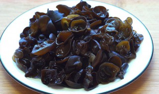 木耳怀孕能吃吗（孕妇黑木耳可以吃吗）