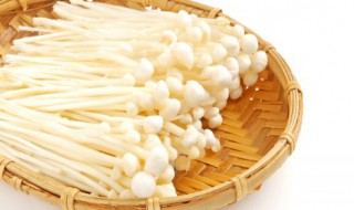 金针菇根部能吃吗 金针菇根子可以吃吗