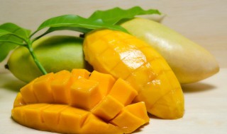 芒果青的能吃吗（大金煌芒果青的能吃吗）