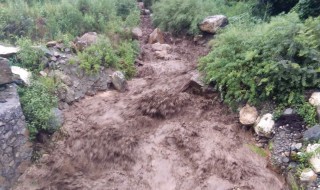 泥石流正确逃跑措施 泥石流正确逃跑措施是什么