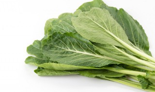 芥菜能吃吗（哺乳期芥菜能吃吗）