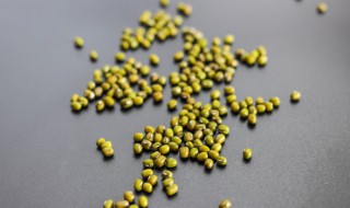 绿豆发芽了还能吃吗（泡了一晚上的绿豆发芽了还能吃吗）