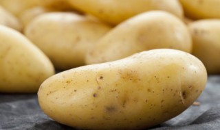 绿土豆能吃吗（没发芽的绿土豆能吃吗）