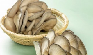 平菇发白还能吃吗 平菇发白还能吃吗有毒吗