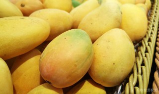月经期间能不能吃芒果（月经期间能不能吃芒果?_有问必答_快速问医生）