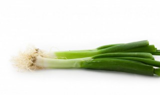 大葱移栽时间和方法 北方大葱移栽时间和方法