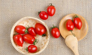 种植番茄需要注意什么 家庭种植番茄的方法