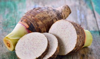 芋头怎么种什么时候种好（芋头种植时间和方法一农广天地）