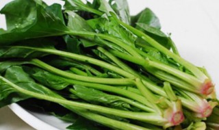 谷雨种什么菜好（谷雨适合种什么农作物?）