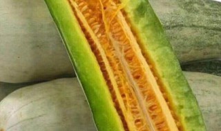 羊角蜜的籽为什么是苦的 羊角蜜里面的籽是苦的