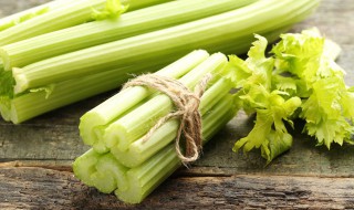 芹菜应该怎么栽（芹菜应该怎么栽种视频）