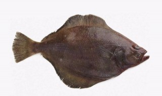 比目鱼不去皮能吃吗 比目鱼不去皮能吃吗有毒吗