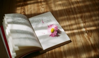 冲鸡煞西是什么意思 黄道吉日里冲鸡煞西是什么意思