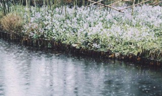 雨量毫米是什么意思（雨量毫米是什么意思公厘是什么意思）