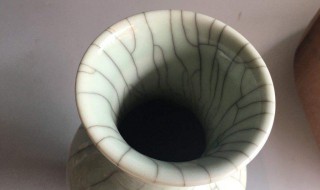 花瓶里有脏东西怎么处理（花瓶里面怎么清洗）