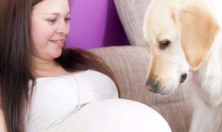 梦见生儿子 梦见生儿子是什么意思 周公解梦