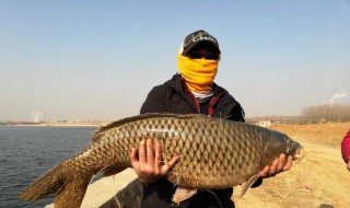 梦见钓到大鱼是什么意思（梦见钓鱼一钓就上钩）