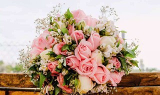 看病人送什么花合适 去医院看病人送什么花合适