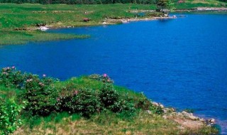 心里憋一肚子火的说说 心情不爽想发泄的句子