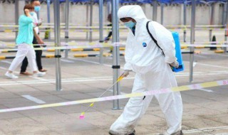 白蚊防治消杀方法 白蚊怎么灭效果最好