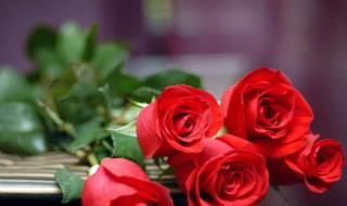 包玫瑰花束的方法 如何包玫瑰花束