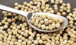 白胡椒粉的食用方法（白胡椒粉的食用方法及用量）